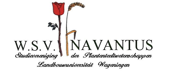 Logo WSV Navantus